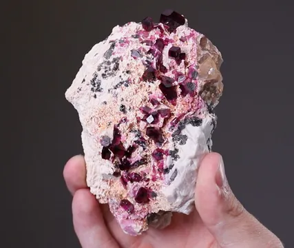 Liddicoatite Tourmaline