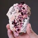 Liddicoatite Tourmaline - image 2