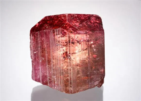 Liddicoatite Tourmaline image