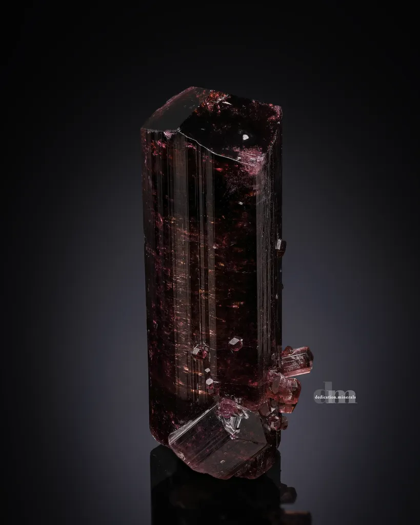 Liddicoatite Tourmaline image