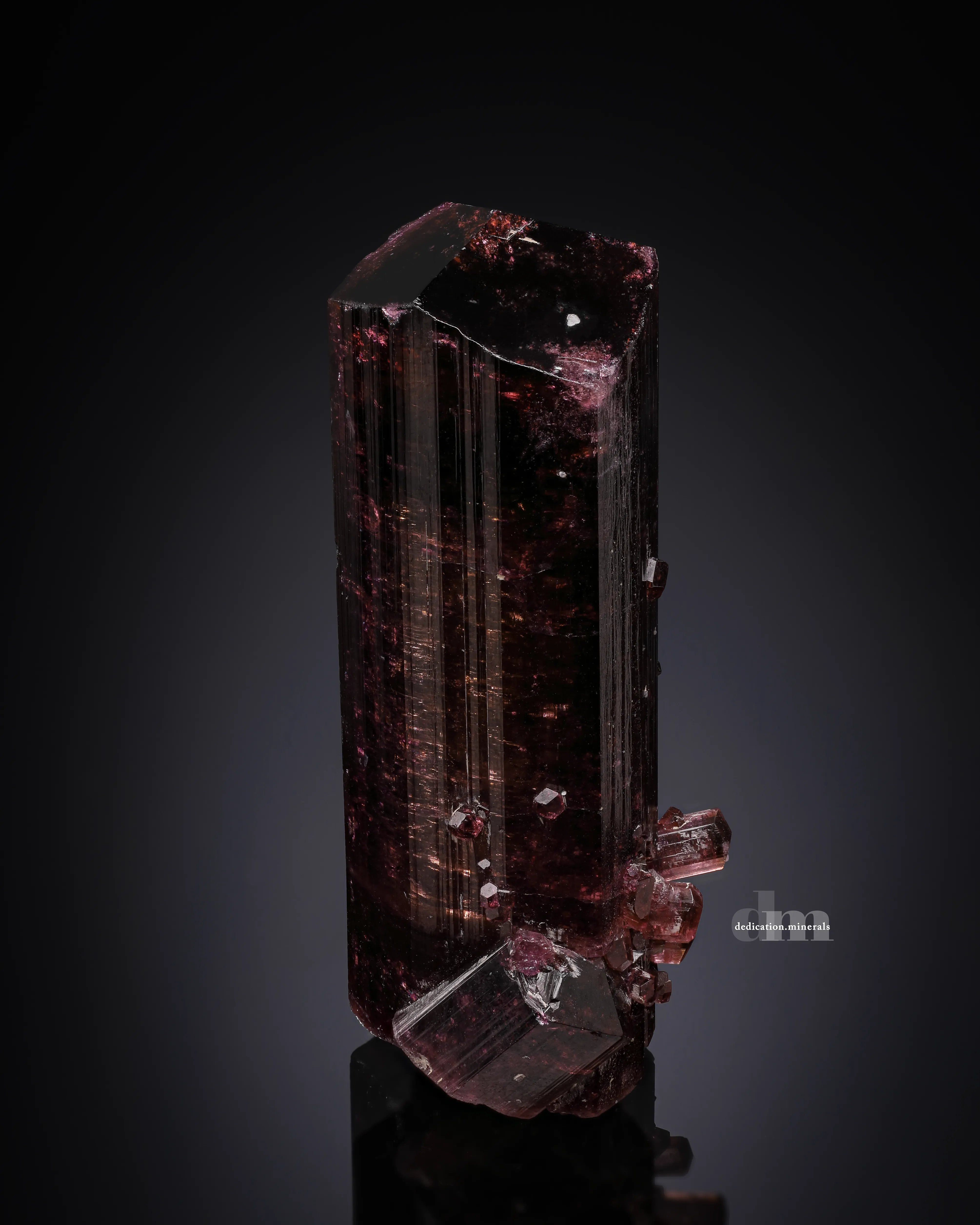 Liddicoatite Tourmaline - image 1