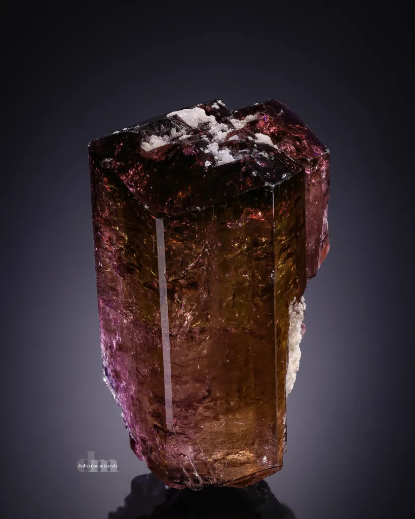 Liddicoatite Tourmaline image