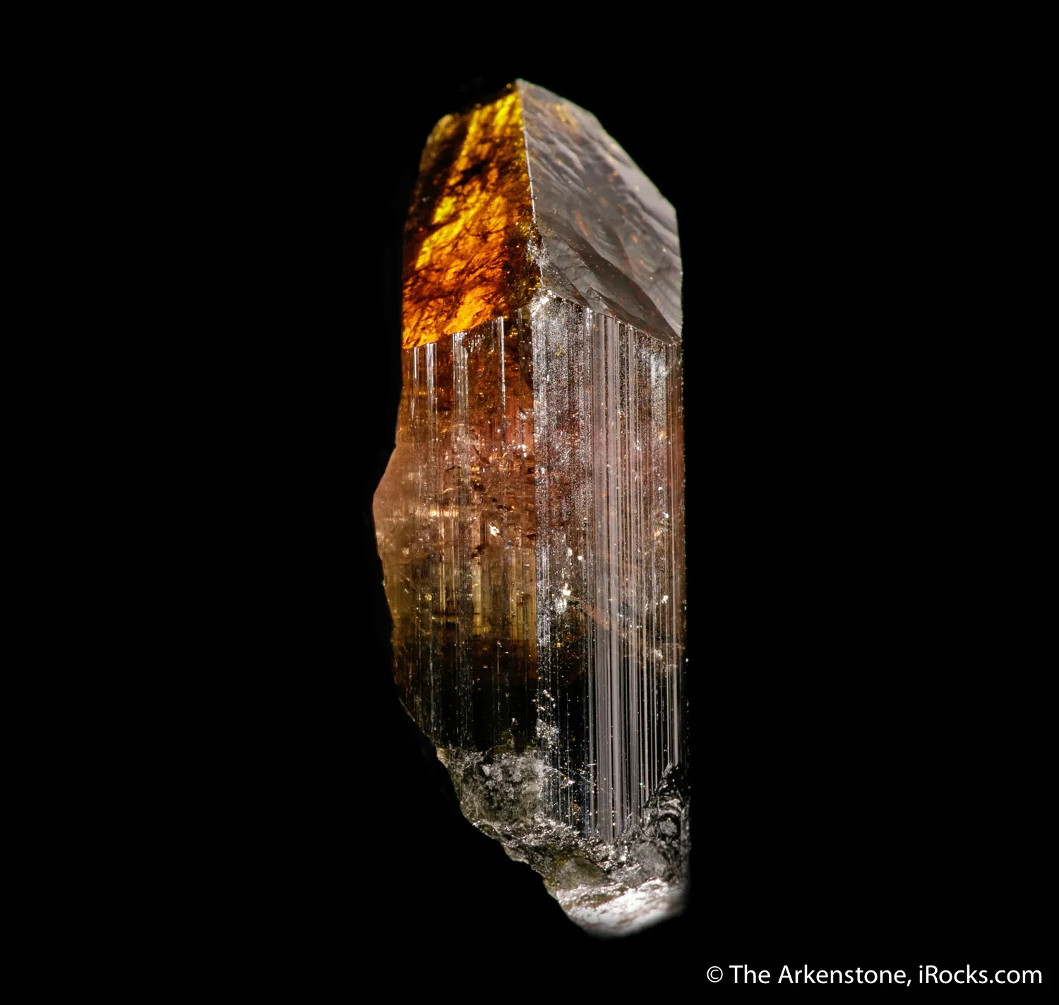 Liddicoatite Tourmaline - image 5