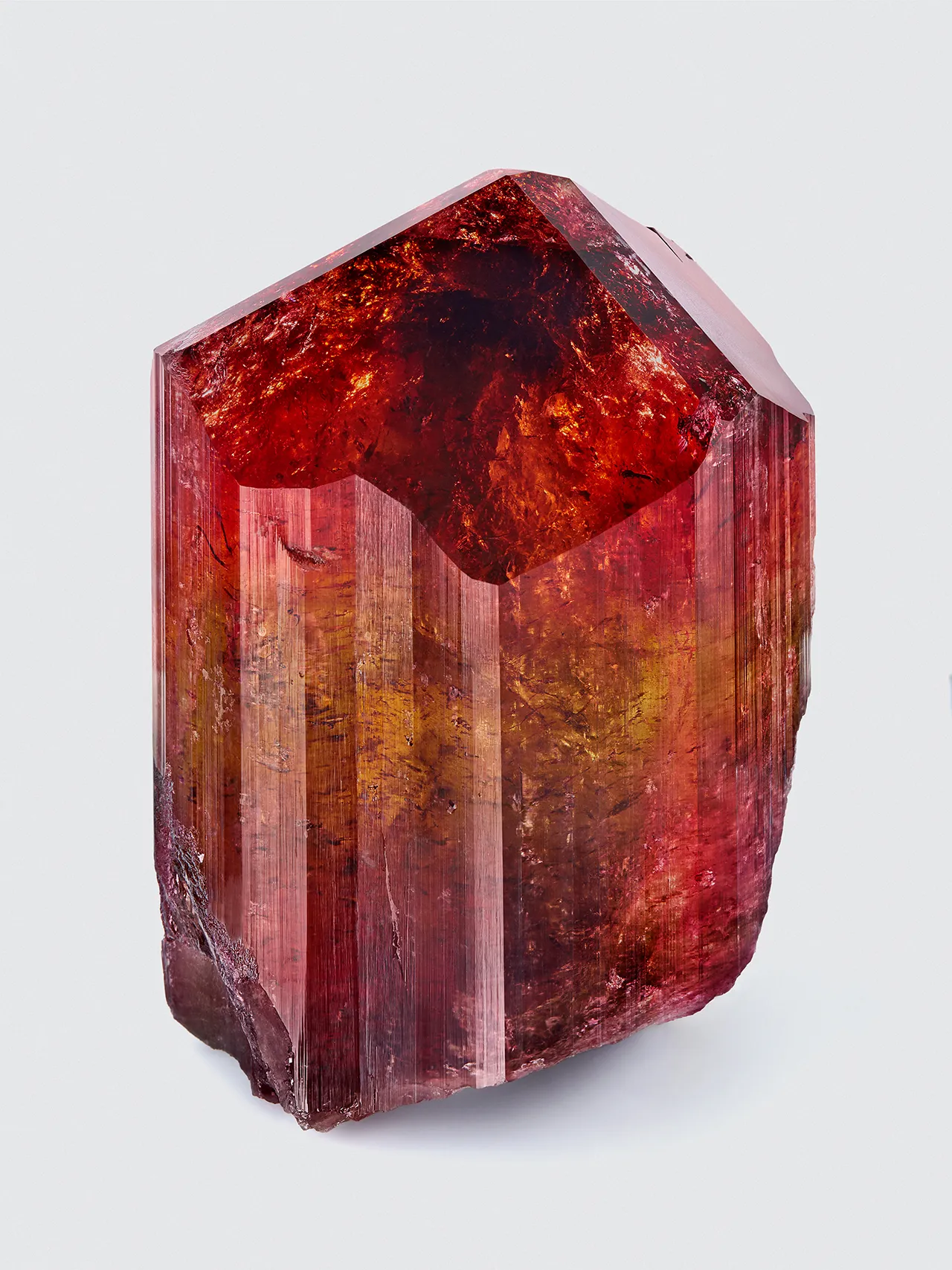 Liddicoatite, Tourmaline Anjanbonoina, Antananarivo Prov., Madagascar - image 2