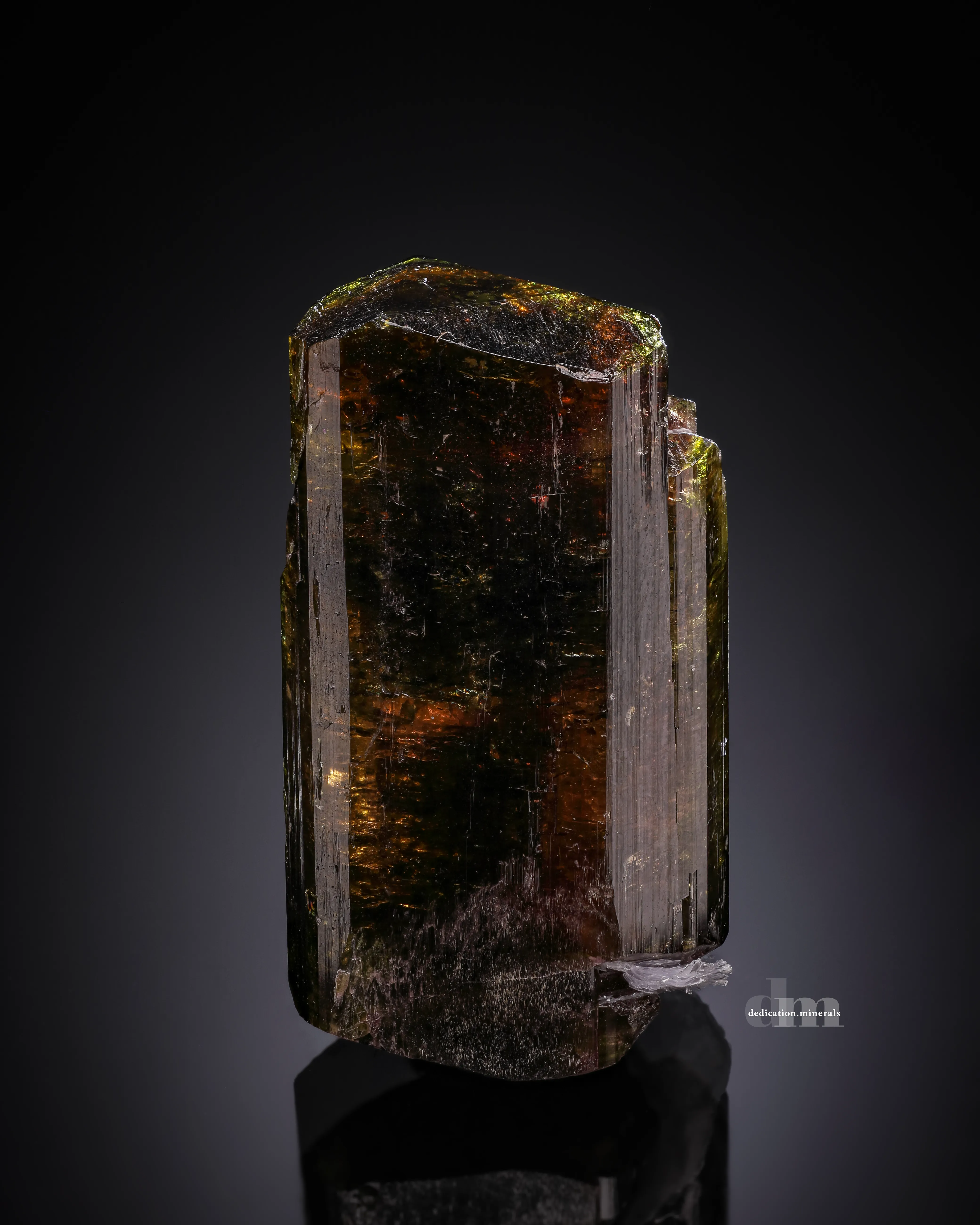 Liddicoatite Tourmaline - image 1
