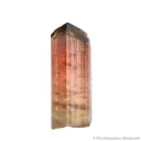 Liddicoatite Tourmaline - image 2