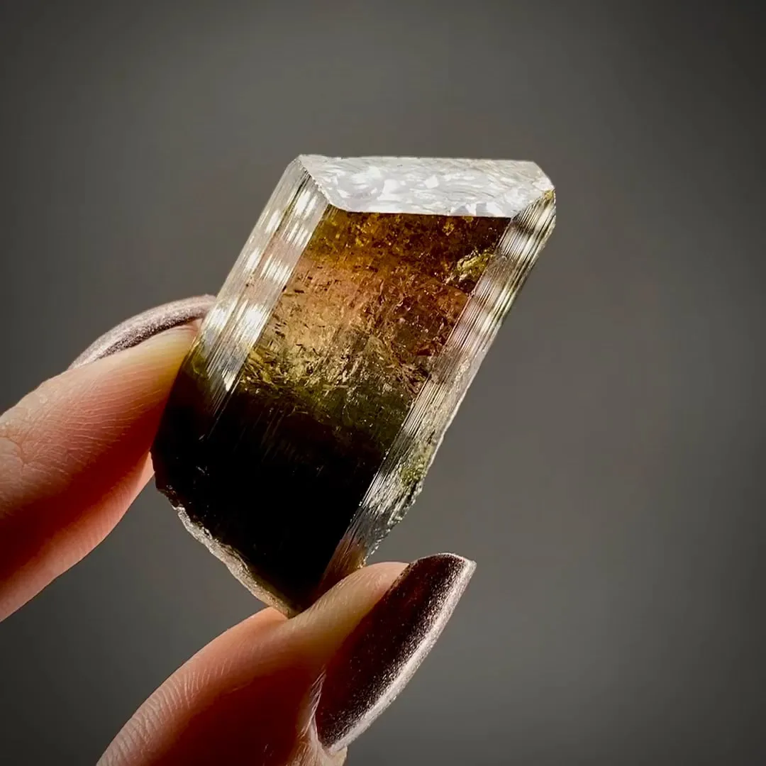 Liddicoatite Tourmaline - image 2