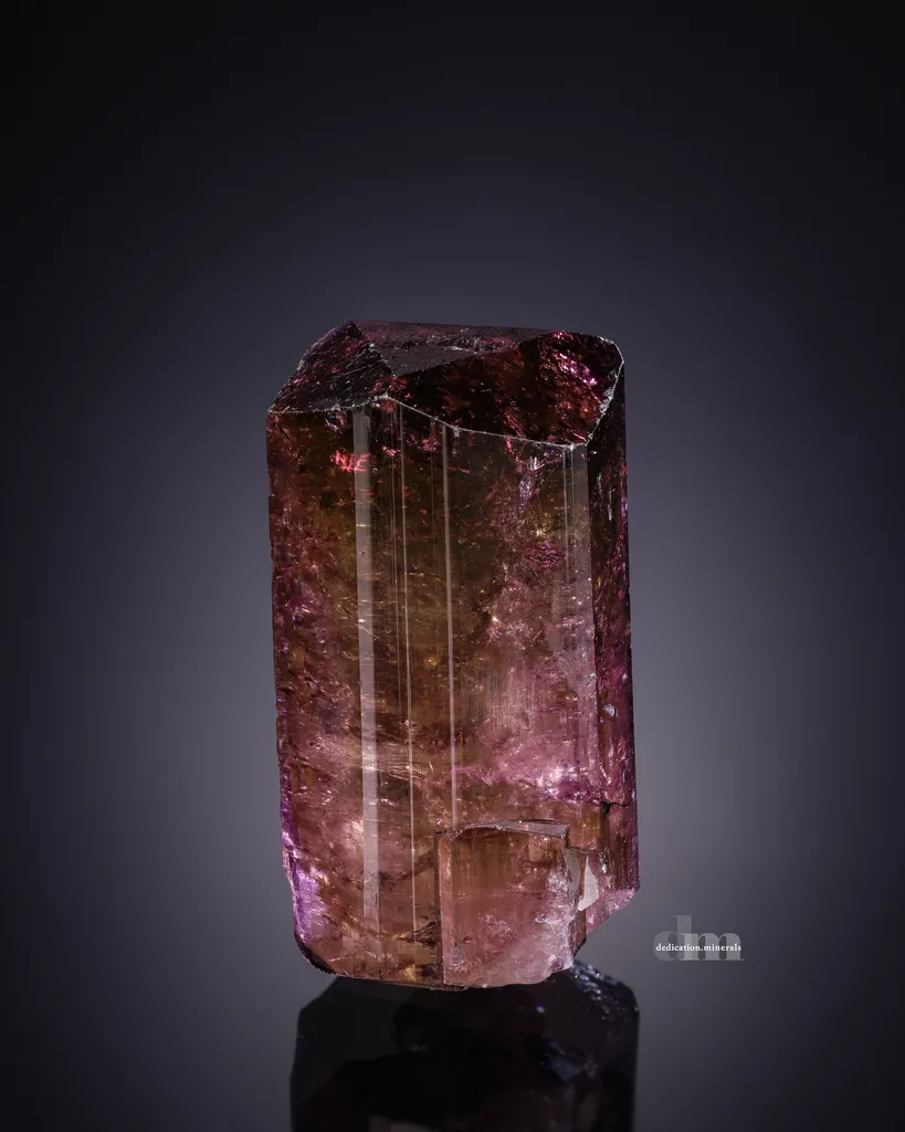 Liddicoatite Tourmaline from Madagascar image