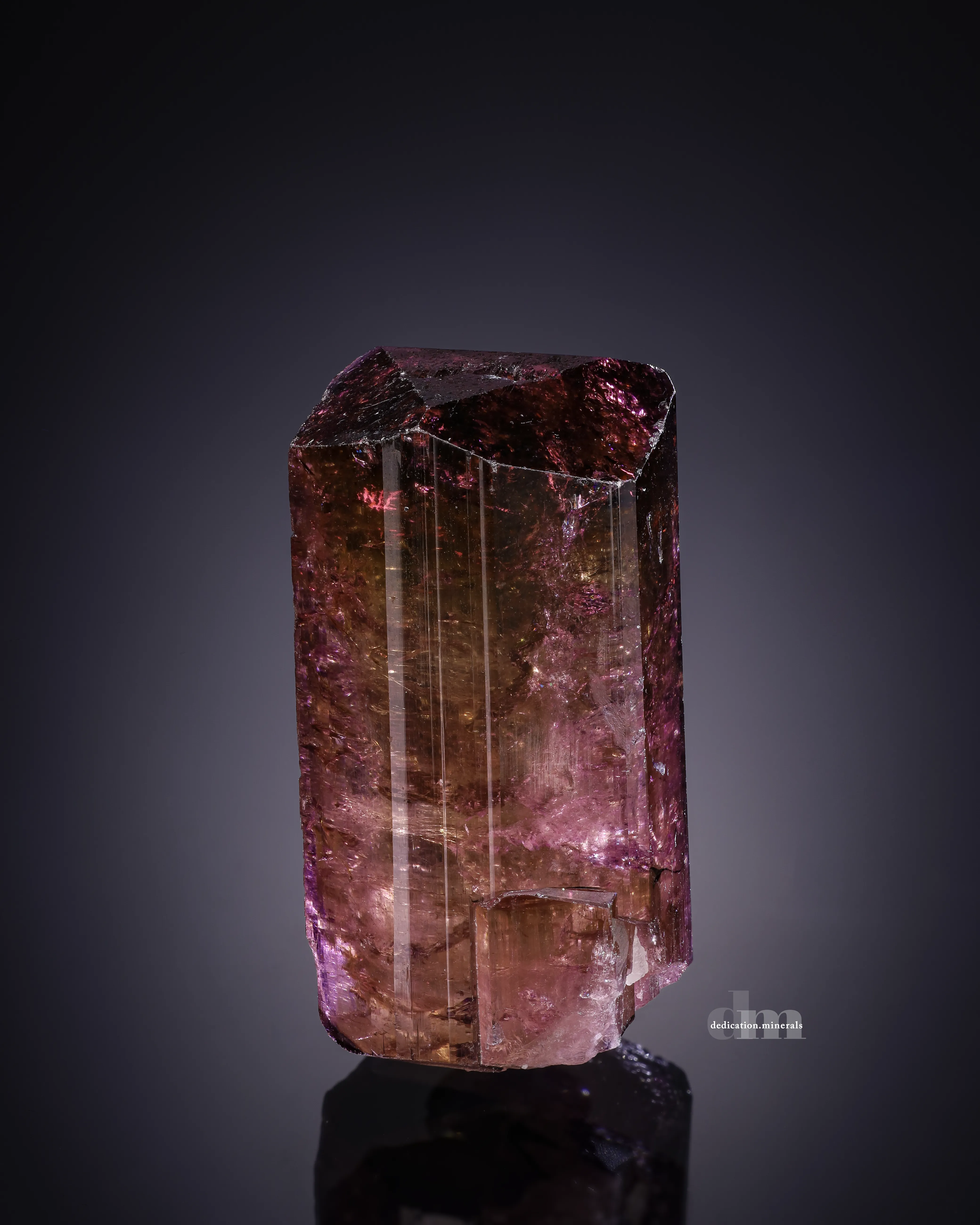 Liddicoatite Tourmaline from Madagascar - image 1
