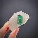 Liddicoatite Tourmaline on Quartz - image 2