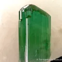 Liddicoatite Tourmaline on Quartz - image 5