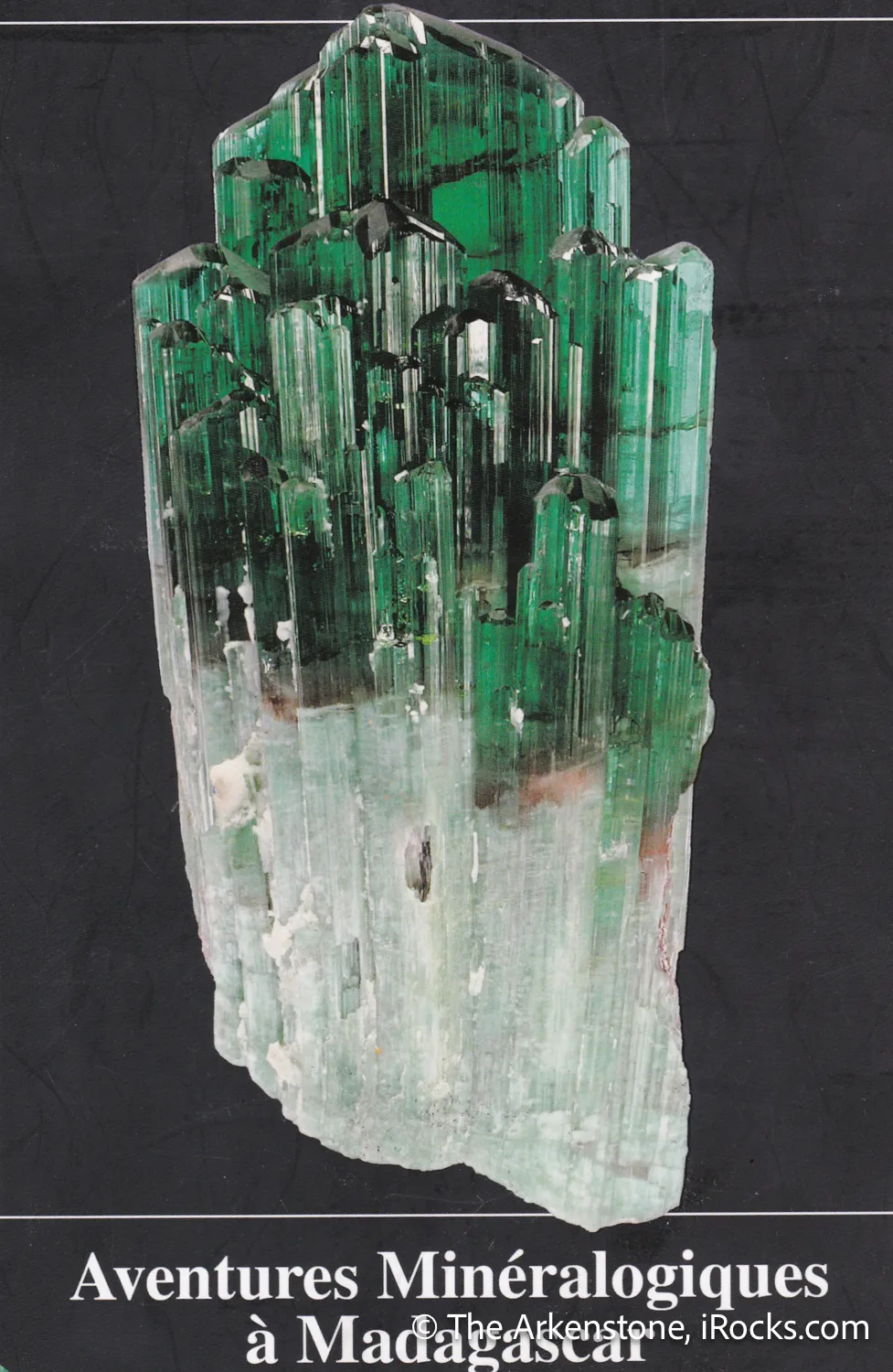 Liddicoatite Tourmaline on Quartz - image 6