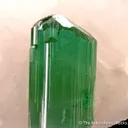 Liddicoatite Tourmaline on Quartz - image 4