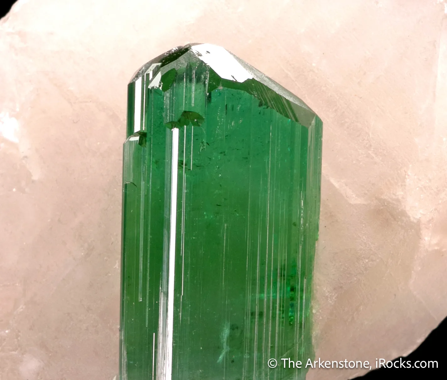 Liddicoatite Tourmaline on Quartz - image 4