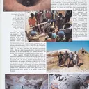 Liddicoatite Tourmaline on Quartz - image 7