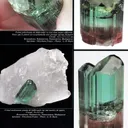 Liddicoatite Tourmaline on Quartz - image 8