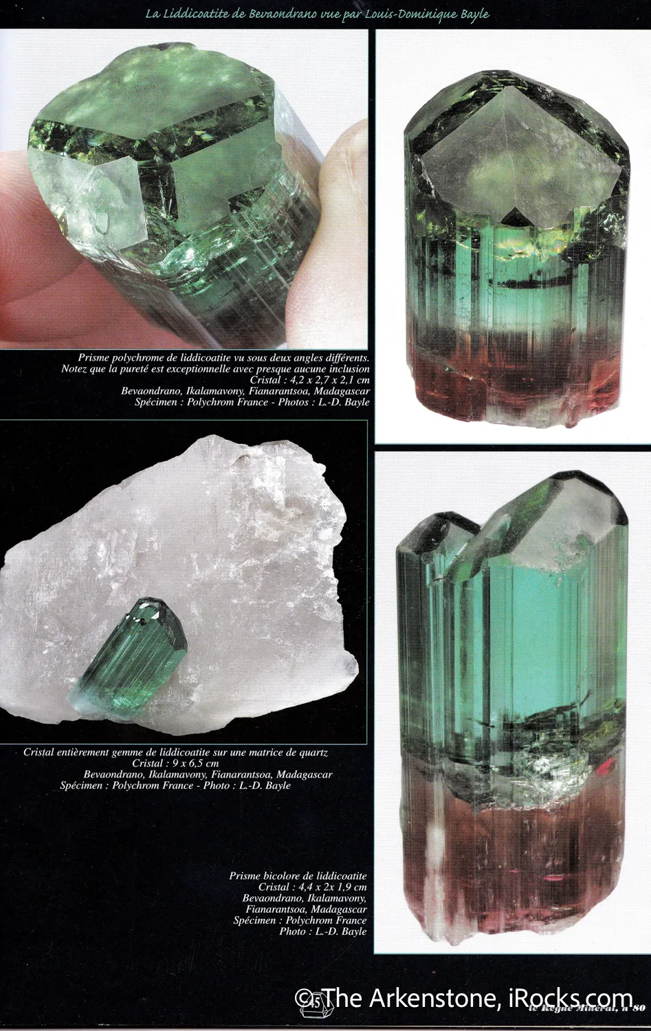 Liddicoatite Tourmaline on Quartz - image 8