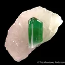 Liddicoatite Tourmaline on Quartz - image 1