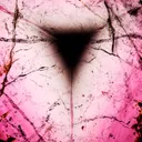 Liddicoatite Tourmaline Slice - image 3