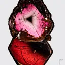 Liddicoatite Tourmaline Slice - image 1