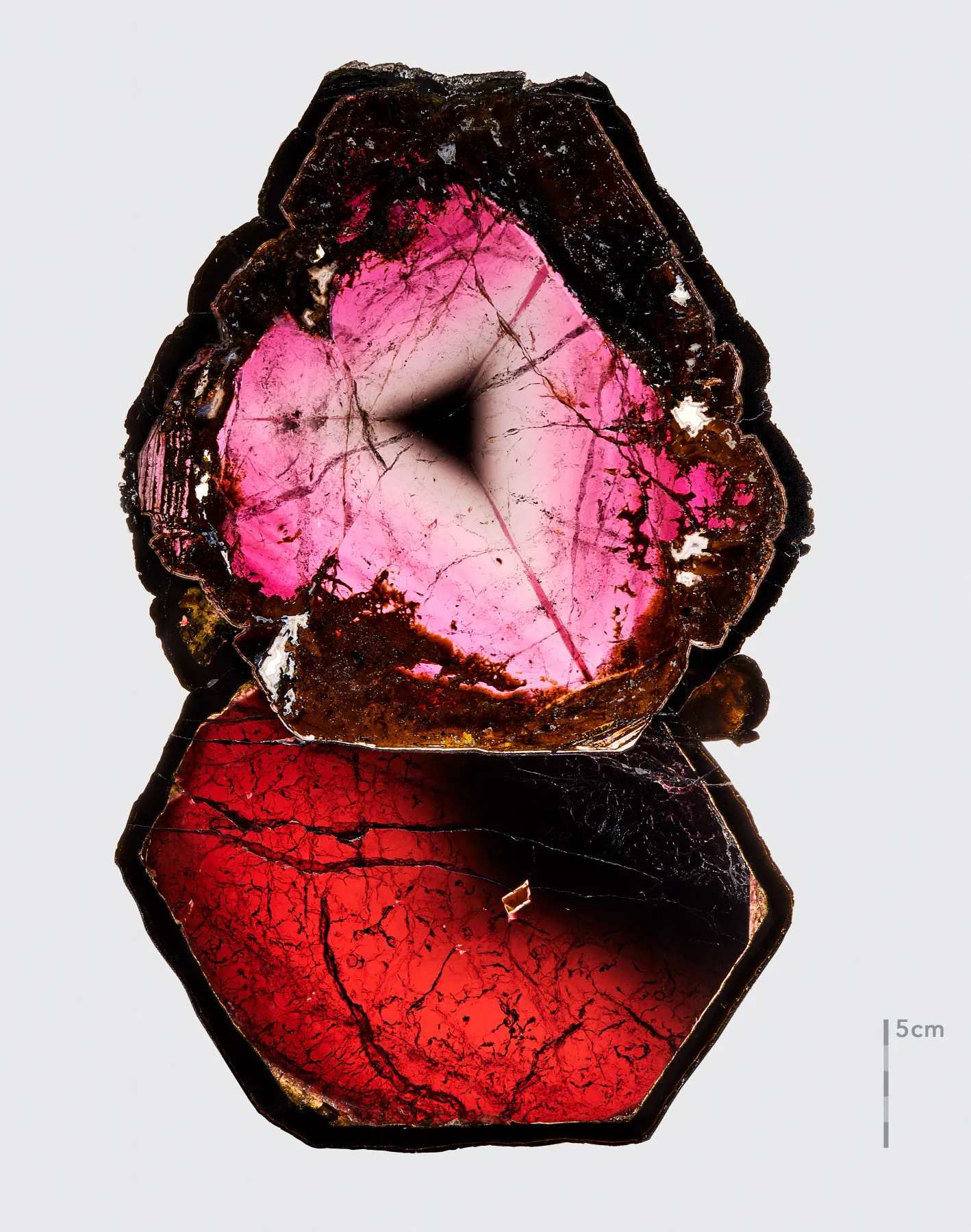 Liddicoatite Tourmaline Slice - image 1