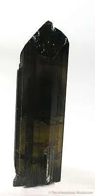 Liddicoatite (Var. Of Tourmaline) image