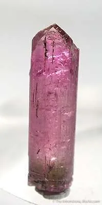 Liddicoatite (Var. Of Tourmaline) - image 2