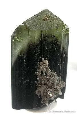 Liddicoatite (Var. Of Tourmaline) - image 2