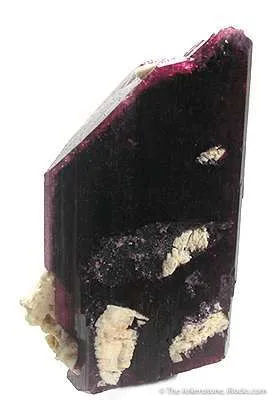 Liddicoatite (Var. Of Tourmaline) image