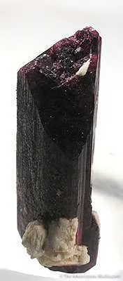 Liddicoatite (Var. Of Tourmaline) - image 2