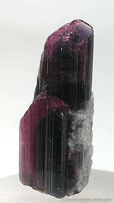 Liddicoatite (Var. Of Tourmaline) image
