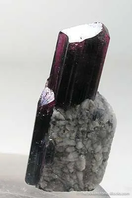 Liddicoatite (Var. Of Tourmaline) - image 2