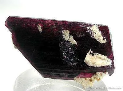 Liddicoatite (Var. Of Tourmaline) - image 3
