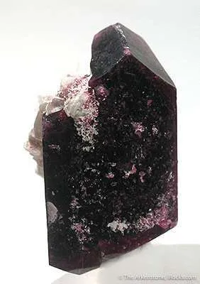 Liddicoatite (Var. Of Tourmaline) image