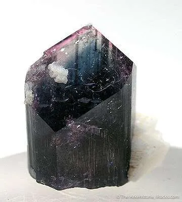 Liddicoatite (Var. Of Tourmaline) image