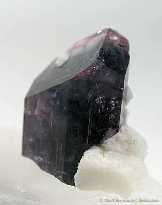 Liddicoatite (Var. Of Tourmaline) - image 2