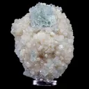 Light Green Apophyllite Disco Cluster with Mordenite On Stilbite Matrix - - image 1