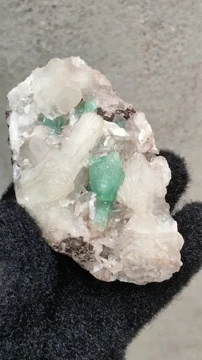 specimen video