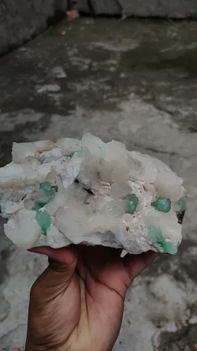 specimen video