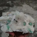 specimen video
