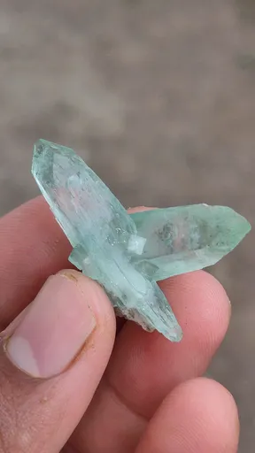 specimen video