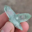 specimen video