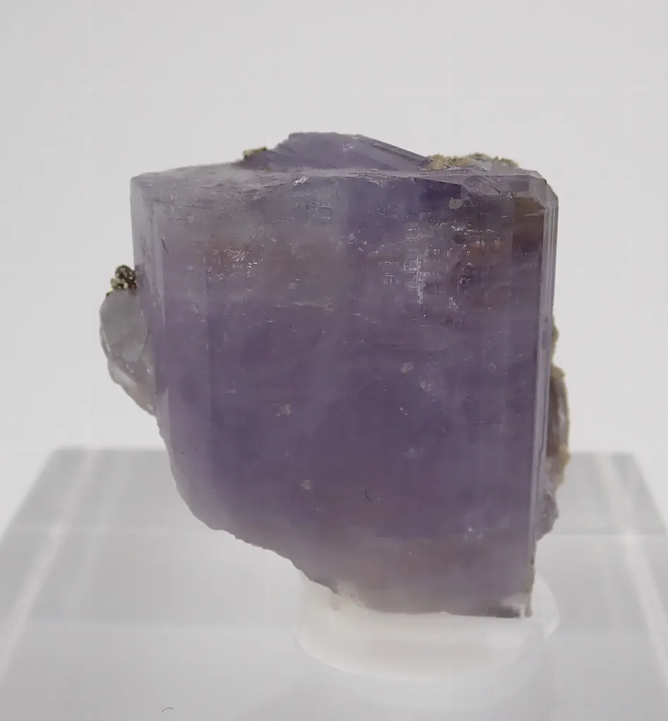 Lilac Fluorapatite wit Pyrite image