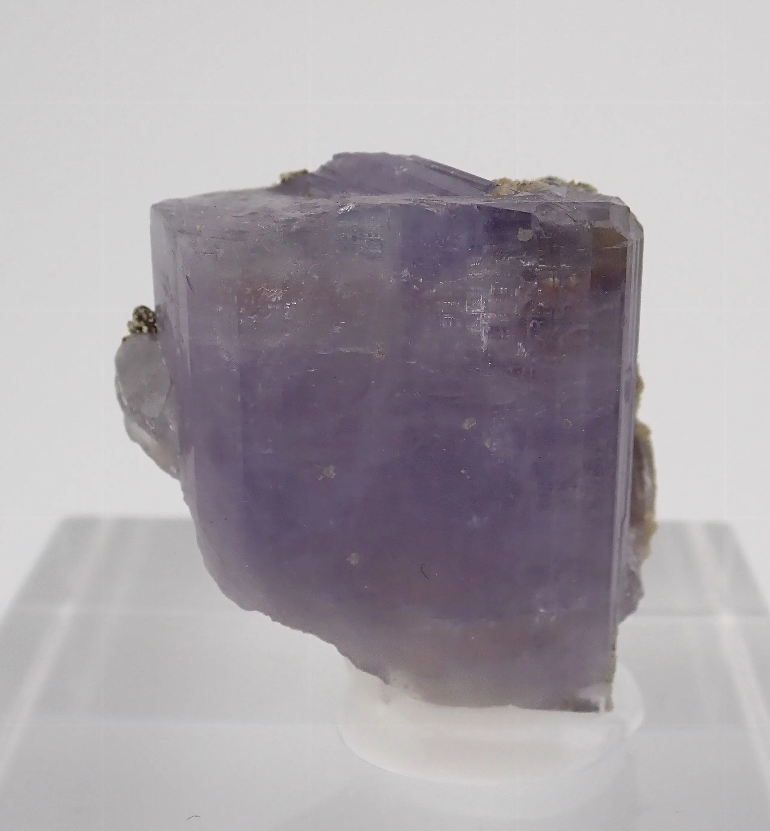 Lilac Fluorapatite wit Pyrite - image 1