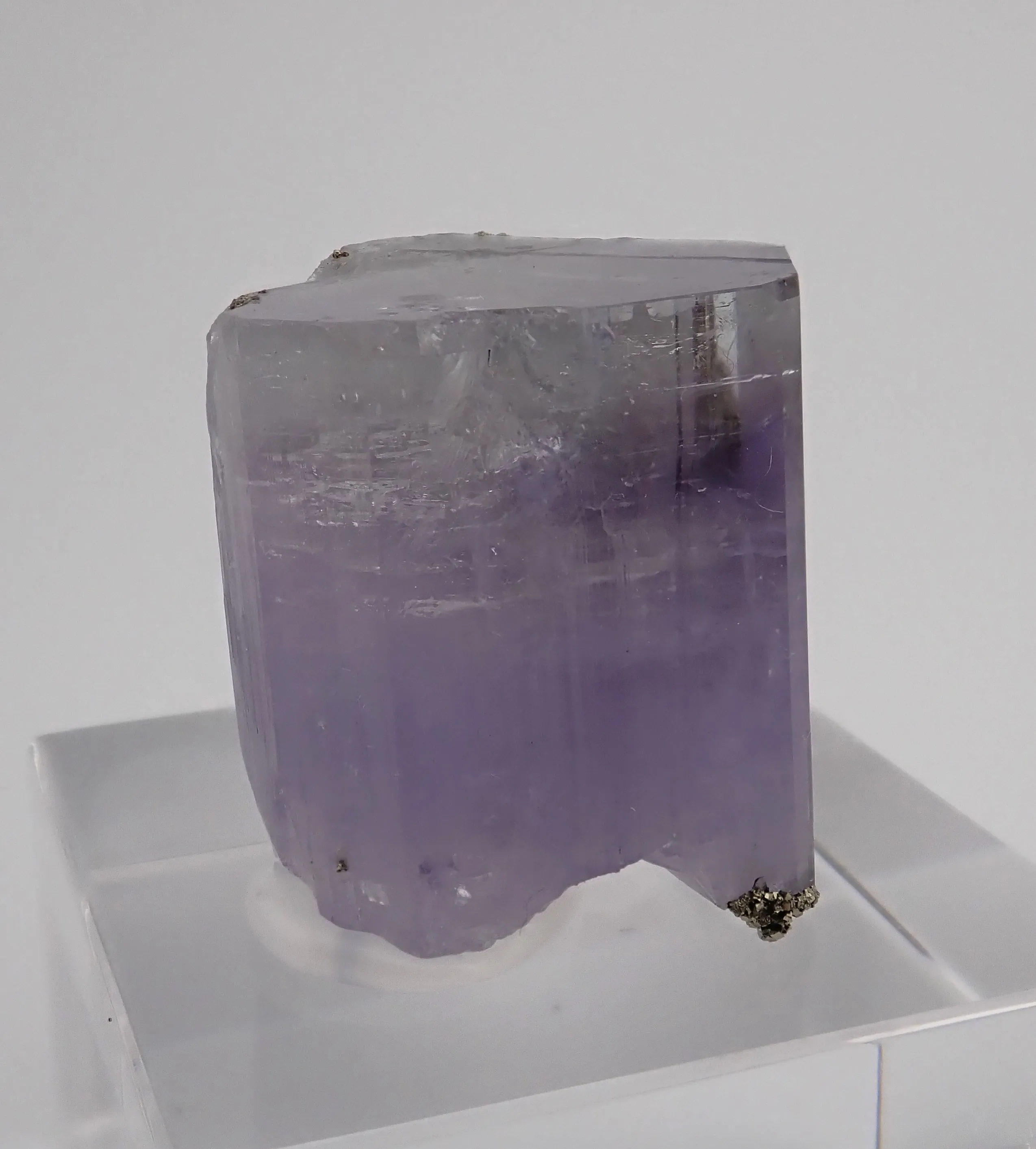 Lilac Fluorapatite with Pyrite - image 3