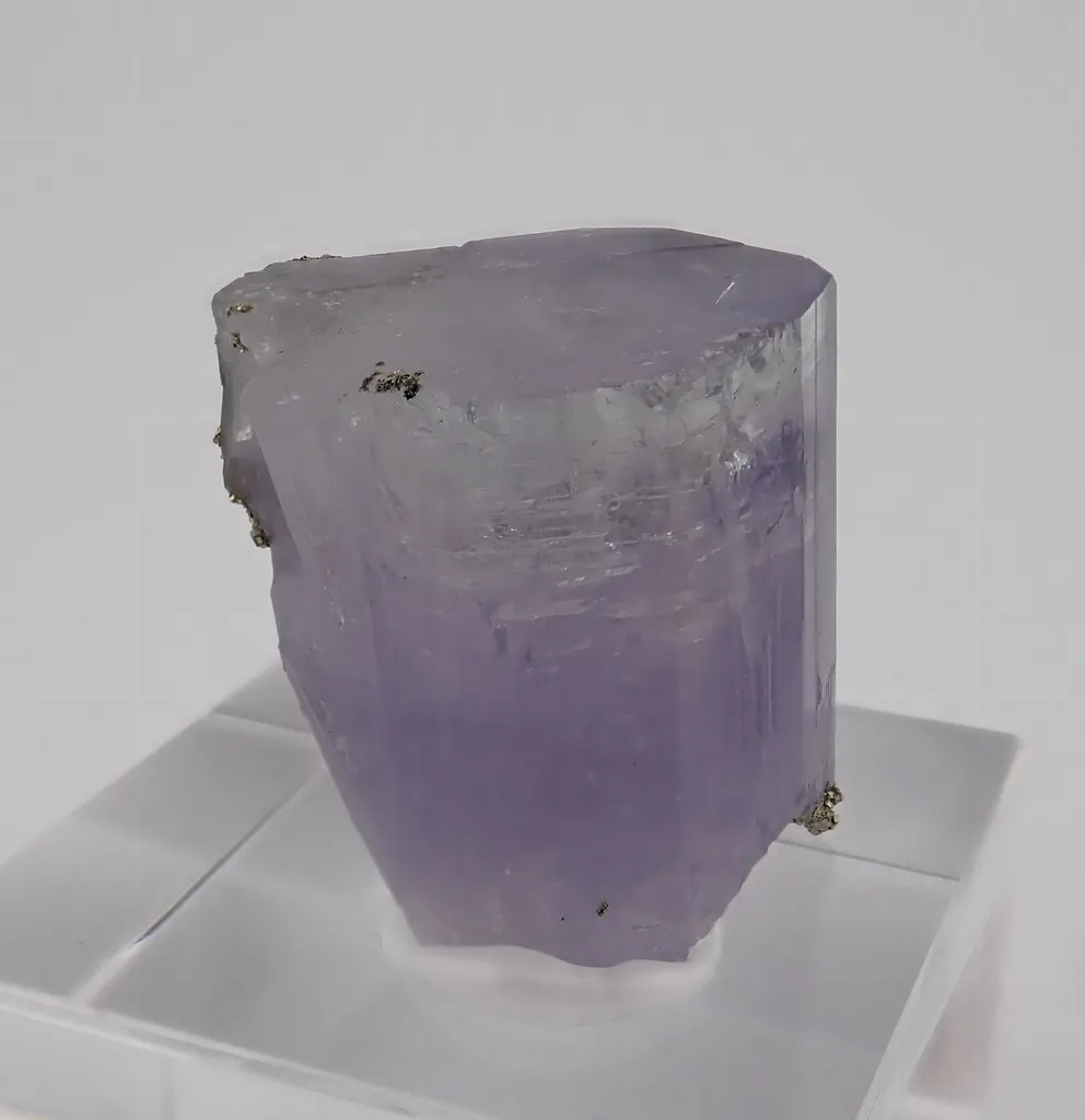 Lilac Fluorapatite with Pyrite image