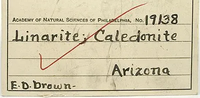 Linarite, Caledonite - image 3