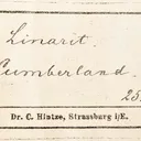 Linarite Ex. Bement Collection - image 3