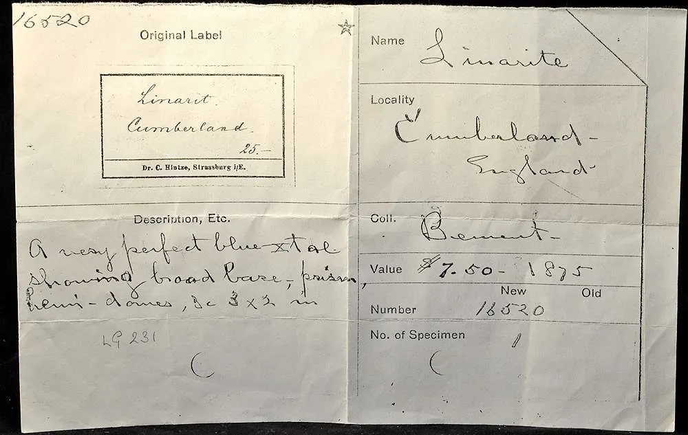 Linarite Ex. Bement Collection - image 4