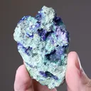 Linarite with Brochantite and Malachite - image 2